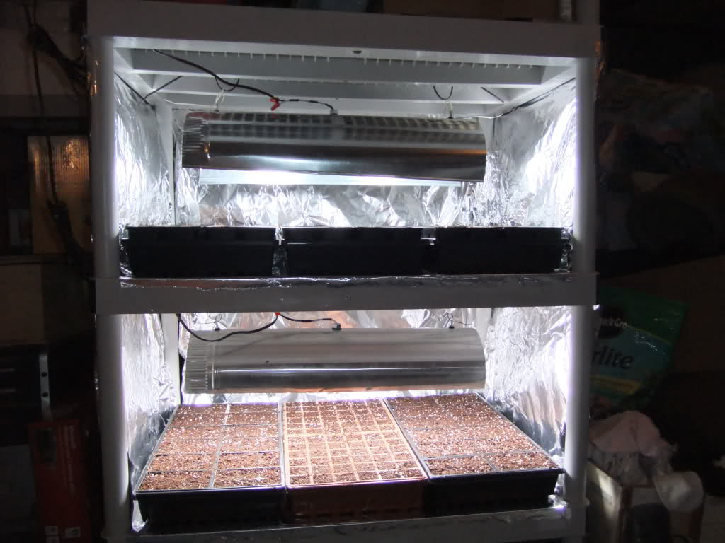 CFL GROW LIGHT Seed Starting